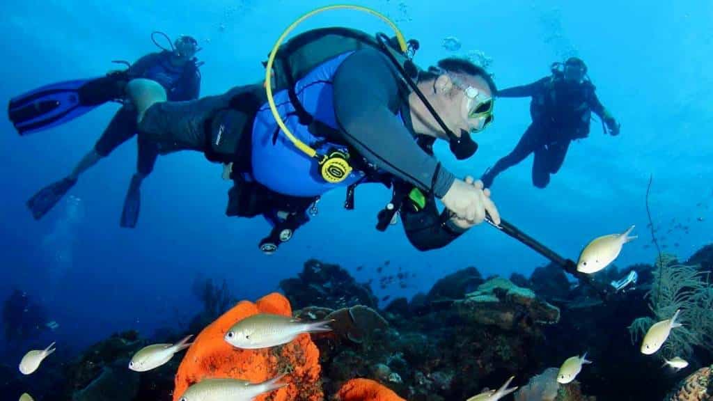 Talk of the Town Inn & Suites | St Eustatius | Scuba